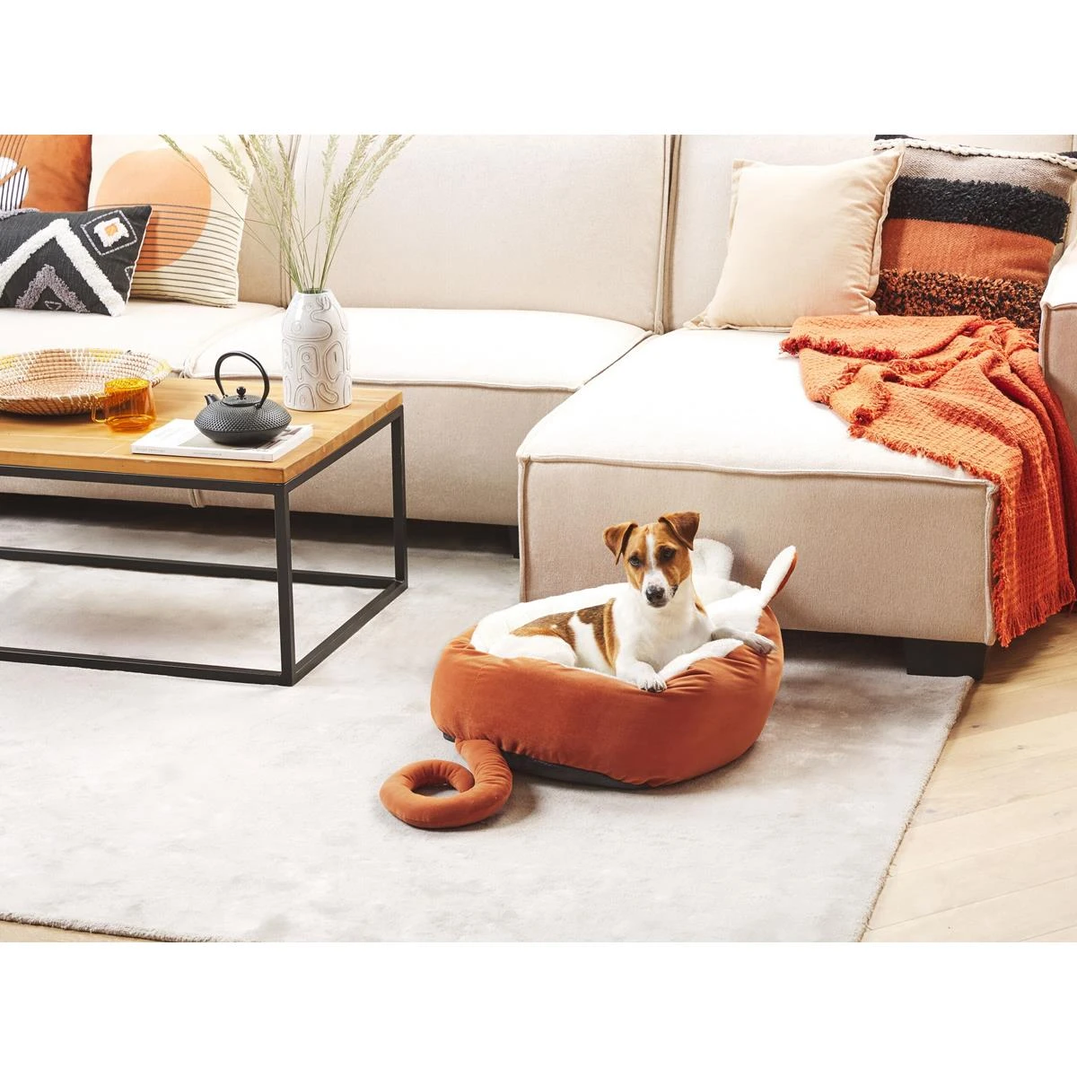 Beliani - HASSA - Dierenbed - Oranje - Fluweel - Afbeelding 2