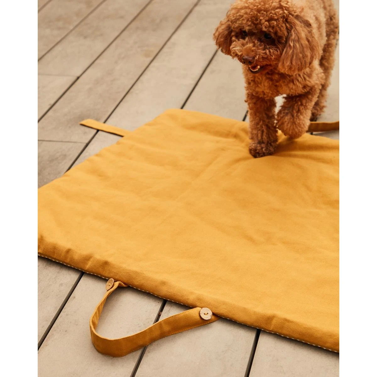 Kave Home - Draagbare Trufa-deken Voor Huisdieren 100% Katoen - Afbeelding 7
