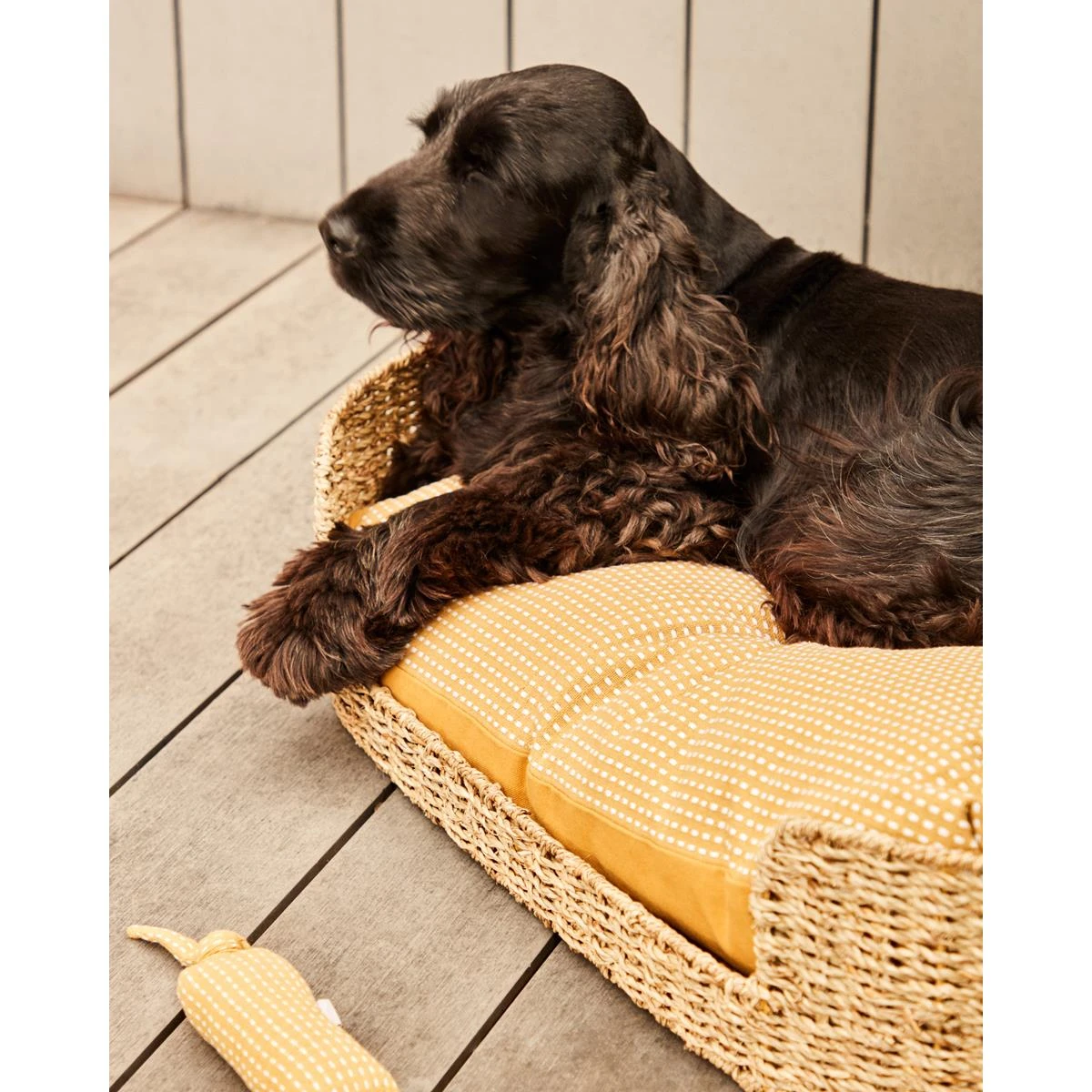 Kave Home - Trufa-kussen 100% Katoen Gecombineerd Met Mosterdgeel En - Afbeelding 2