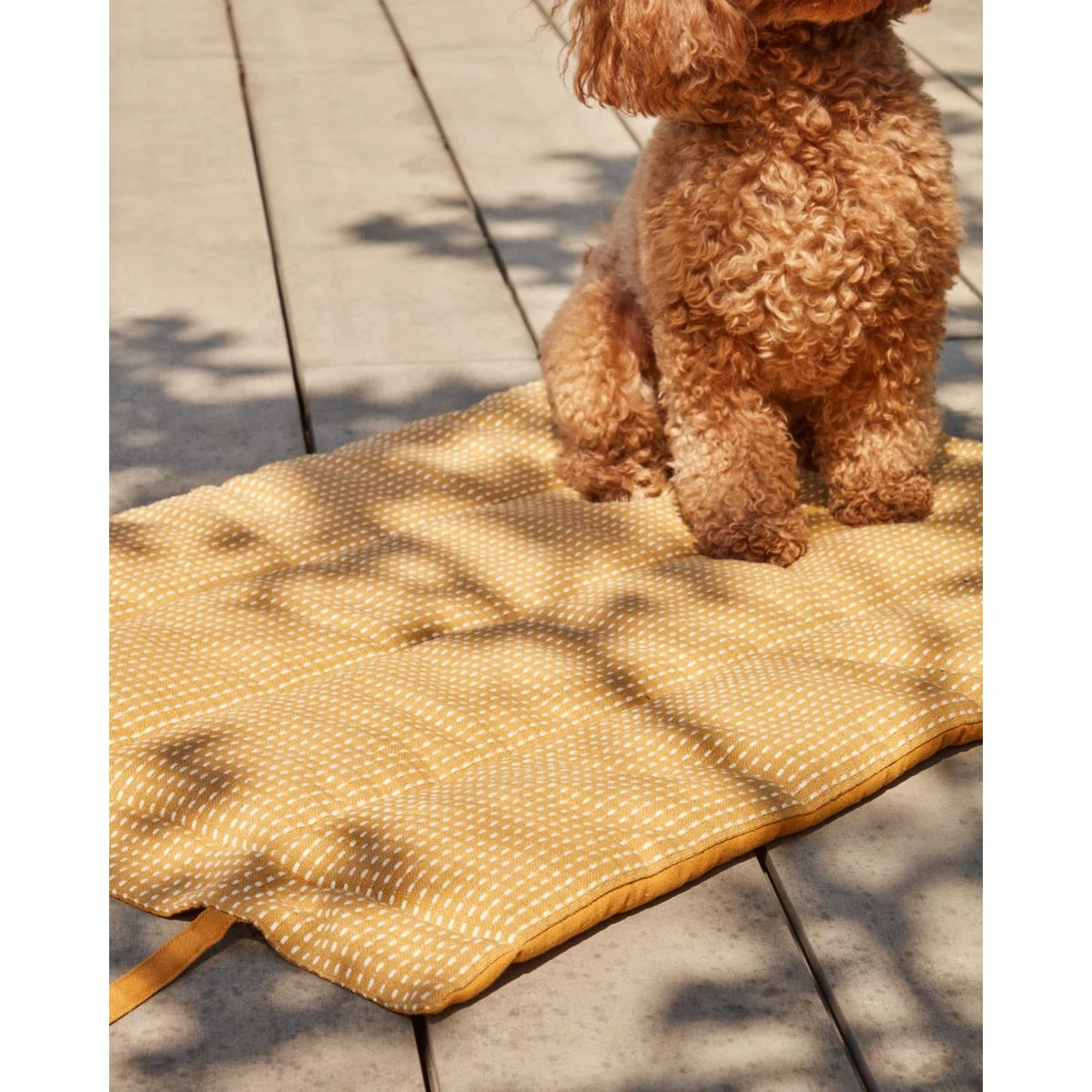 Kave Home - Draagbare Trufa-deken Voor Huisdieren 100% Katoen - Afbeelding 8