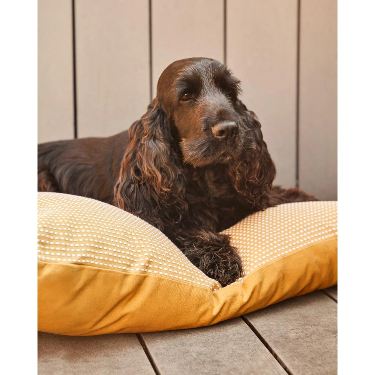 Kave Home - Trufa-kussen 100% Katoen Gecombineerd Met Mosterdgeel En - Afbeelding 4