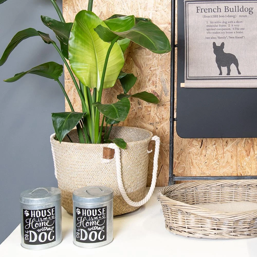 Clayre & Eef Hondenmand 74x57x19 Cm Grijs Rotan Ovaal Hondenbed - Afbeelding 2