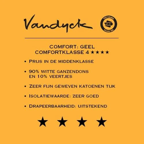 Vandyck Astro 90 4-seizoenen Dekbed 240 X 220 Cm - Afbeelding 2