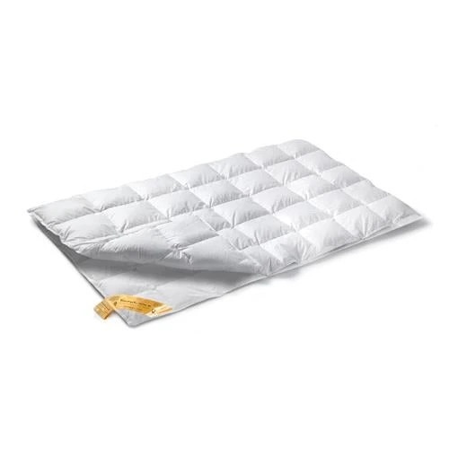 Vandyck Astro 90 4-seizoenen Dekbed 240 X 220 Cm