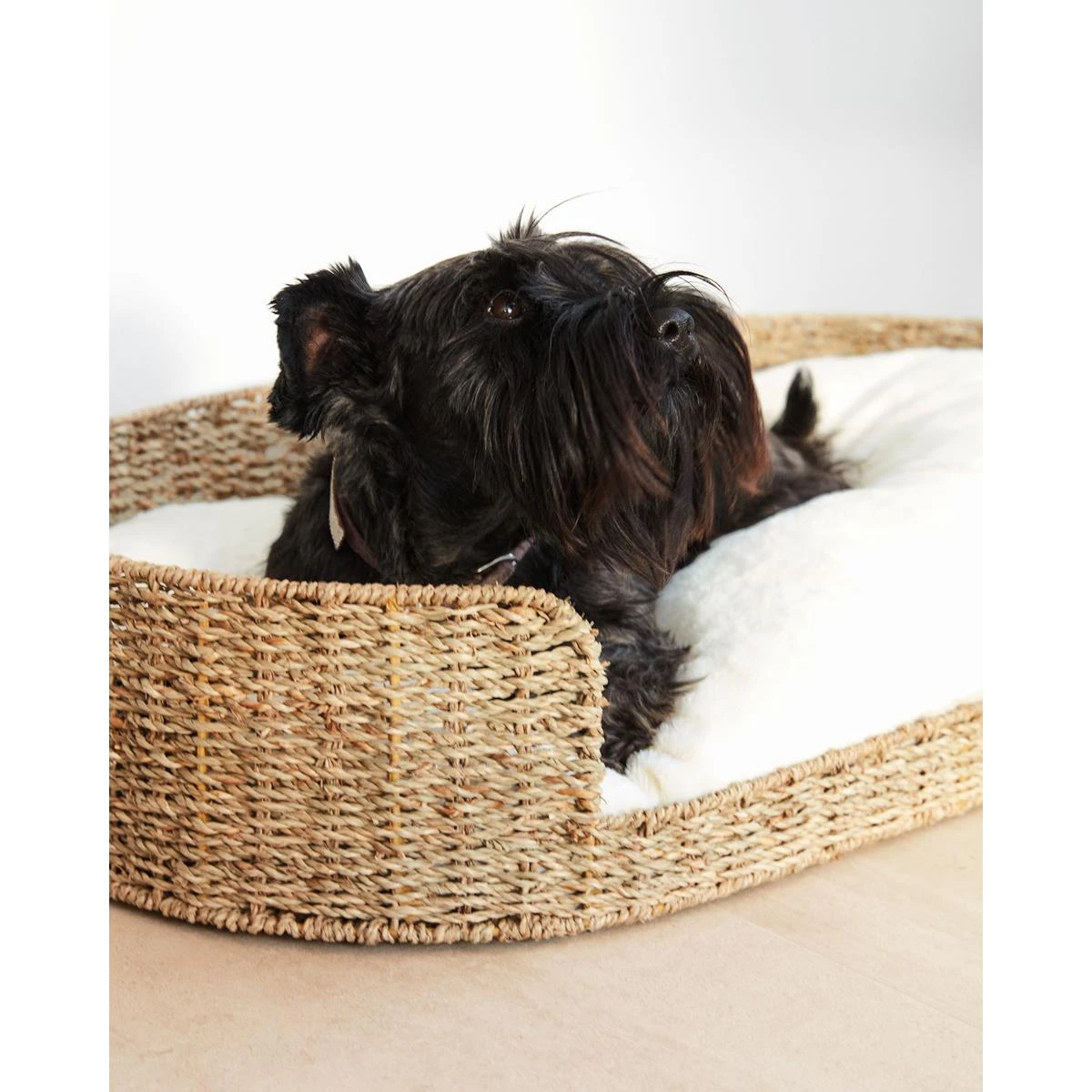 Kave Home - Codie Draagbaar Dierenkussen In Wit Bont, Ø 80 X 10 Cm - Afbeelding 6