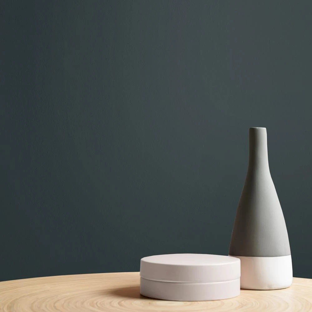 Graham & Brown | Matte Muurverf Afneembaar - Black Cab - Zwart - 4L - Afbeelding 3